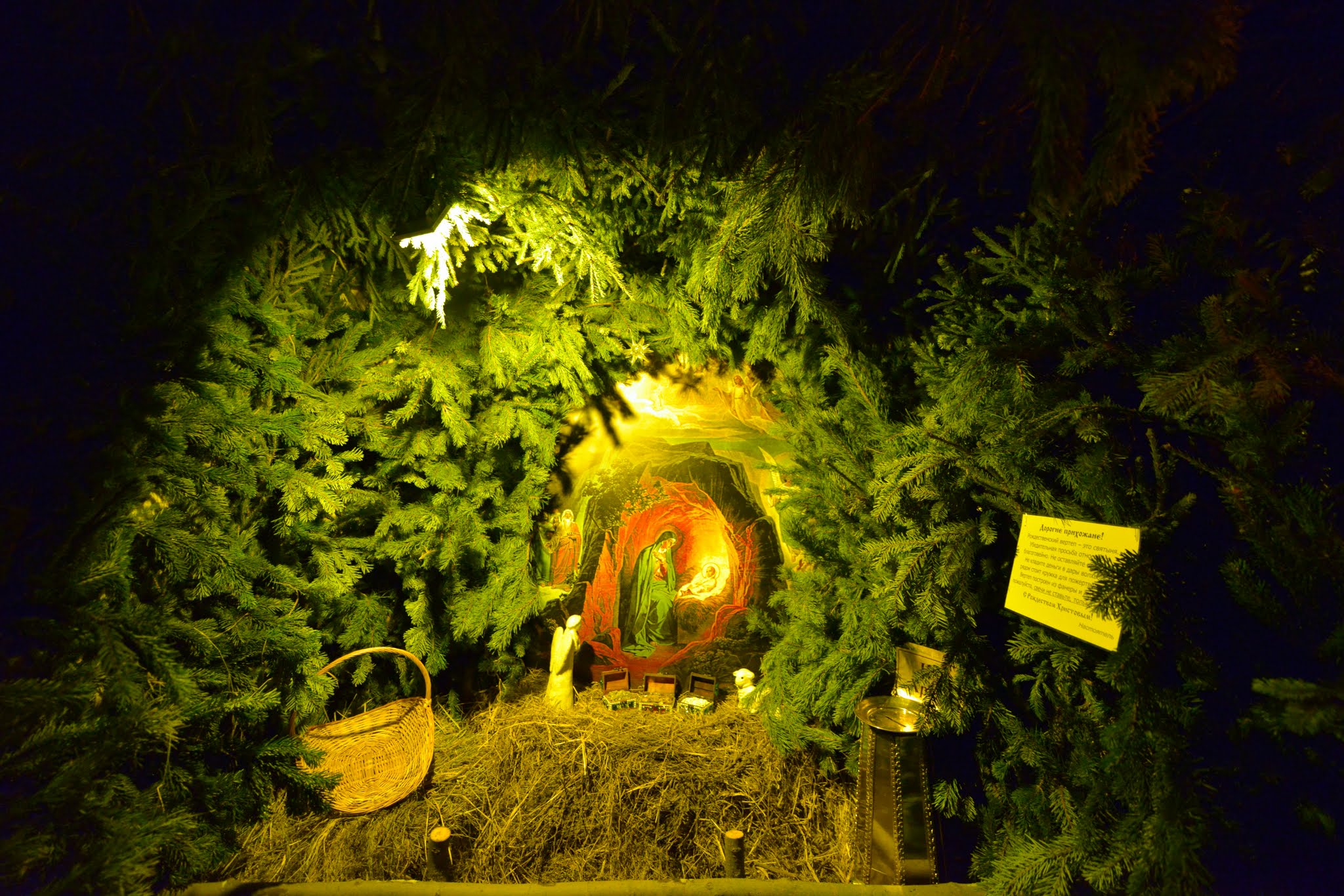 DSC 0820
