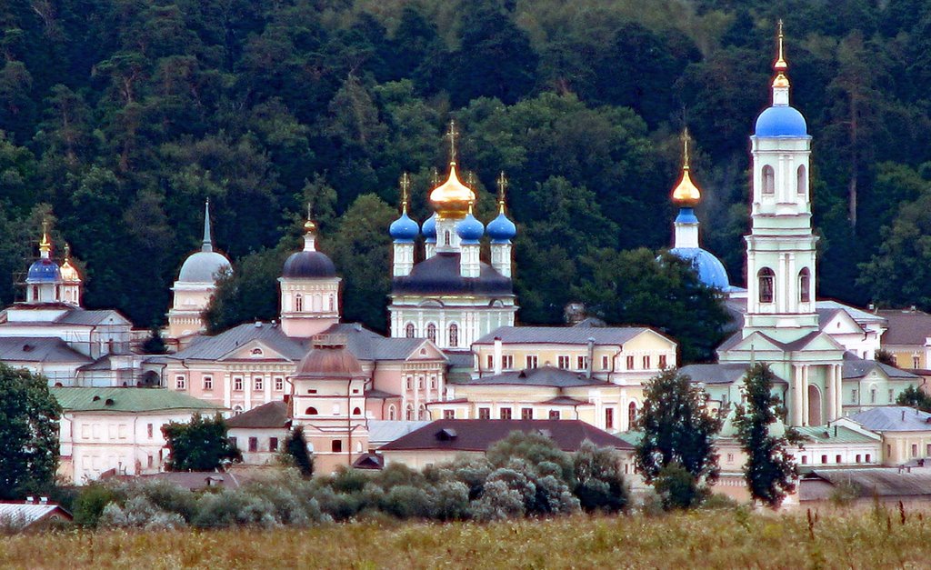 optina1