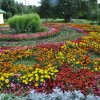 Успение Пресвятой Богородицы