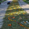 Успение Пресвятой Богородицы