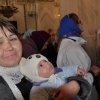 Покров Пресвятой Богородицы. 2014. Альбом 2