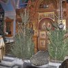 Рождество Христово. Альбом 3