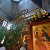 День Пятидесятницы. 2015