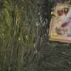 Рождественский Сочельник