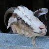 Праздничная пасхальная программа ч.1