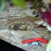 Утреня Великой Субботы. Погребение Плащаницы.