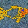 Успение Пресвятой Богородицы. Чин погребения