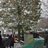 Субботник на Оптинском подворье.