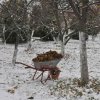 Субботник на Оптинском подворье.