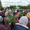 Троица 2017