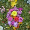 Успение Пресвятой Богородицы. Чин погребения