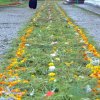 Успение Пресвятой Богородицы. Чин погребения