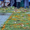 Успение Пресвятой Богородицы. Чин погребения