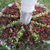 Рождество Богородицы