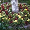 Рождество Богородицы