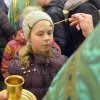 Вербное воскресенье. 2018 год