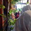 День Святой Троицы. 16.06.19