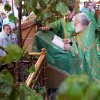 Троица. Великая Вечерня