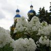 Преображение Господне. Всенощное бдение
