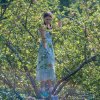 Поездка в Саввино-Сторожевский монастырь