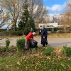 Субботник на Оптинском подворье 28.10.19