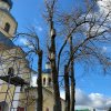 Субботник на Оптинском подворье 28.10.19