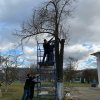 Субботник на Оптинском подворье 28.10.19