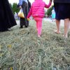 Успение Пресвятой Богородицы. Фотоальбом1