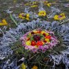 Успение Пресвятой Богородицы. Фотоальбом1