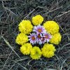 Успение Пресвятой Богородицы. Фотоальбом1