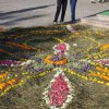 Успение Пресвятой Богородицы. Фотоальбом1