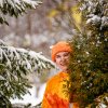 Праздник Масленицы на Оптинском подворье
