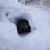 Канон прп. Андрея Критского