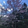 Крестный Ход на источник