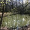 Крестный Ход на источник