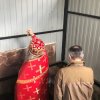 Крестный Ход на источник