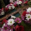 Крестопоклонная неделя