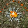 Успение Пресвятой Богородицы