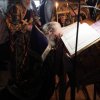 Утреня Страстной Пятницы.