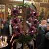 Крестопоклоная неделя
