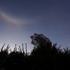 Рождество Христово