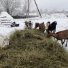 Трудничество 3-5 февраля