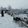 Трудничество 3-5 февраля
