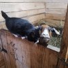 Трудничество 3-5 февраля