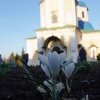Великий Четверток. Ночная Литургия
