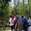 Живоносный источник