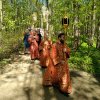 Живоносный источник
