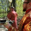 Живоносный источник