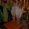 Вербное Воскресенье 2011